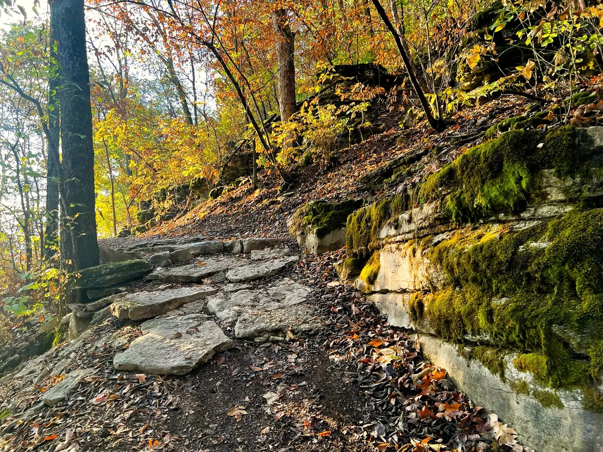 Hike the South Trail in Costume at OZ Trails Bike Park