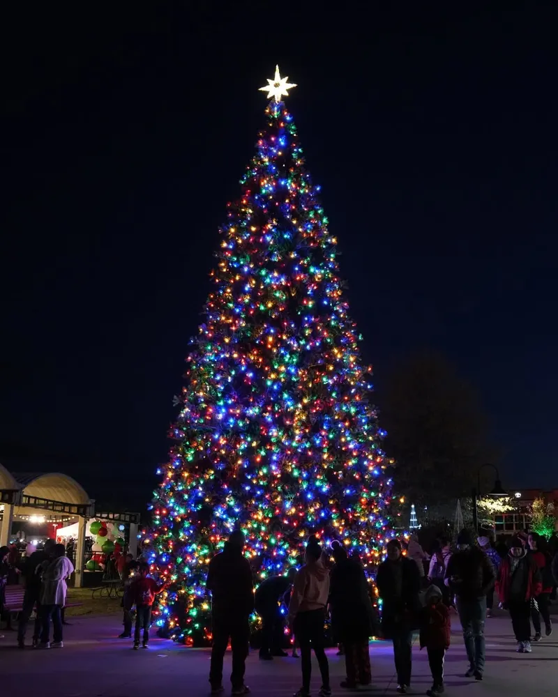 Kick Off the Holidays at the Turnbow Park Tree Lighting in Springdale