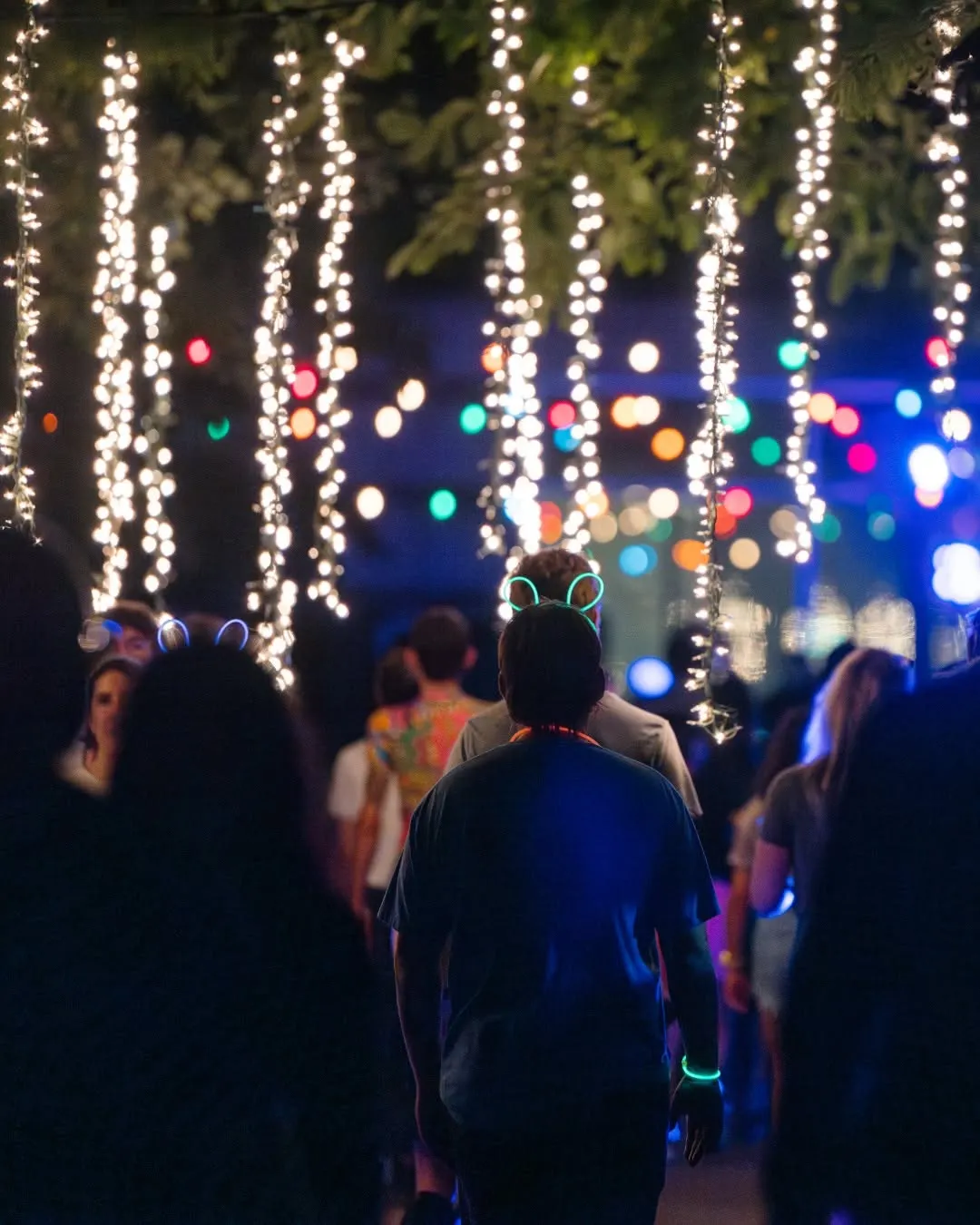 See the Ozark Discovery Canopy Glow at Crystal Bridges After Dark
