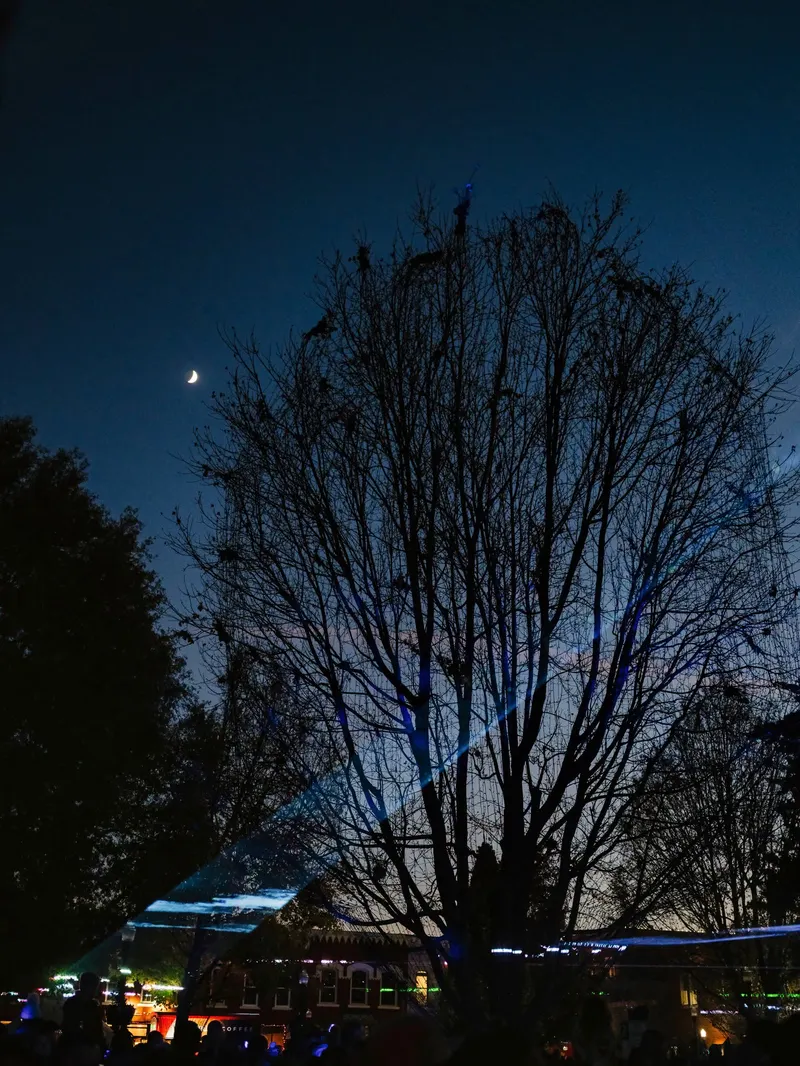 View the Moon Through Real Telescopes at Dave Peel Park