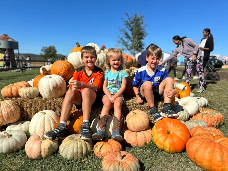 Pumpkin Patches in NWA