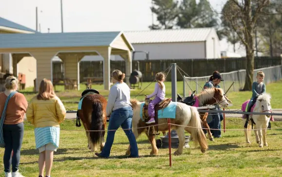 Have A Holly Jolly Pony Extravaganza