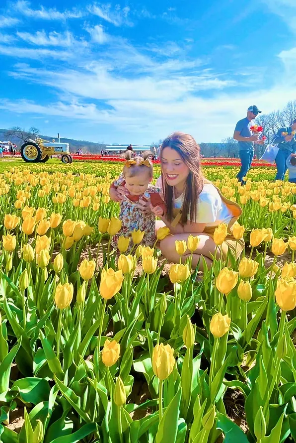 Tulip Festival