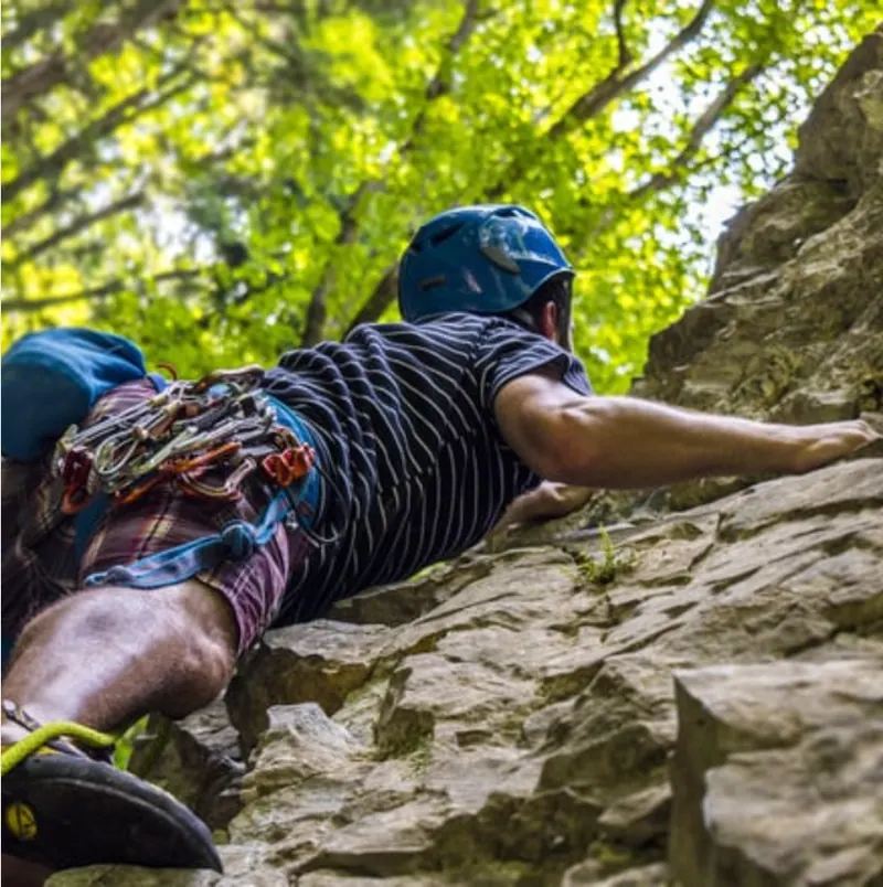 Climb to New Heights at Mt. Fitzgerald with OES