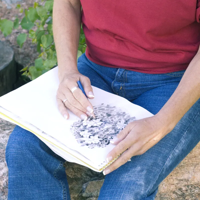 Get Creative at Botanical Sketchers of the Ozarks