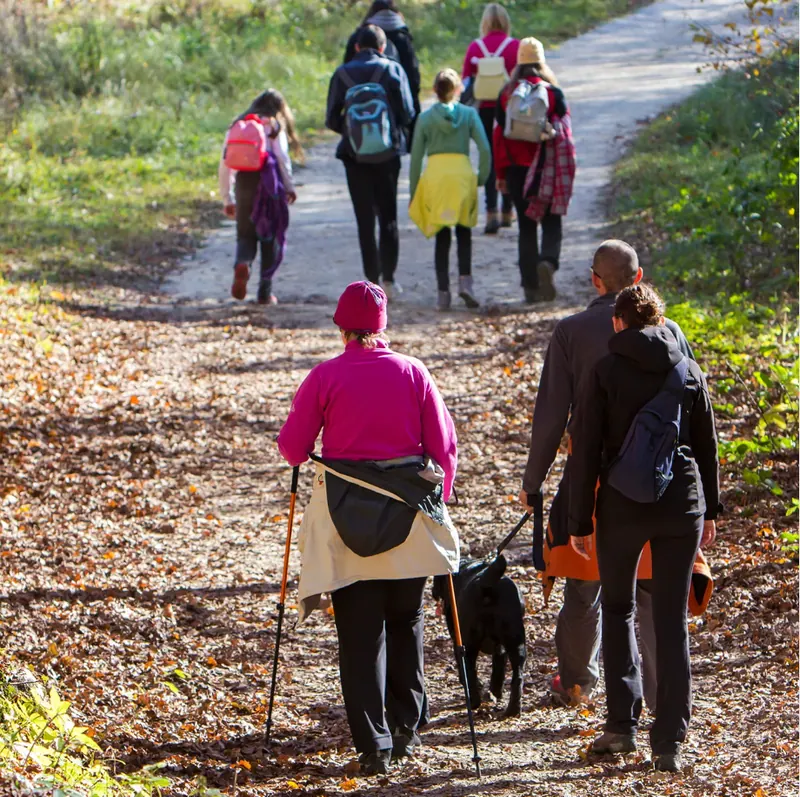 Hit the Trails at Mount Kessler with Ozark Off-Road Cyclists