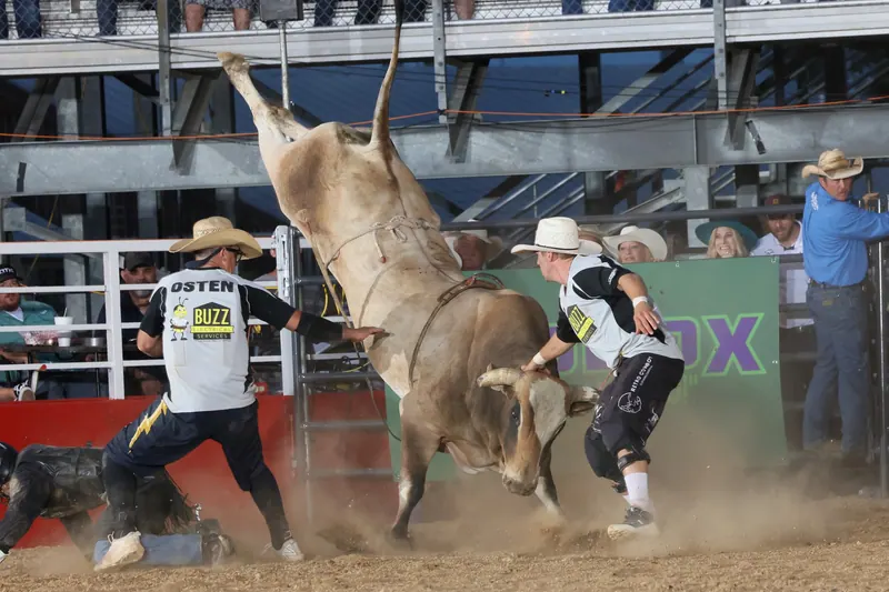PBR Bull Riding Blasts Into Parsons Stadium This Week