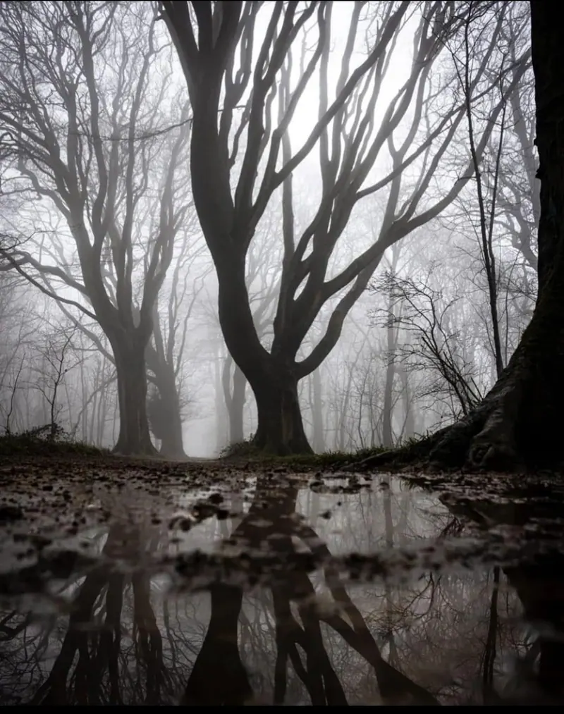 Dare to Discover Fayetteville’s Haunted Past