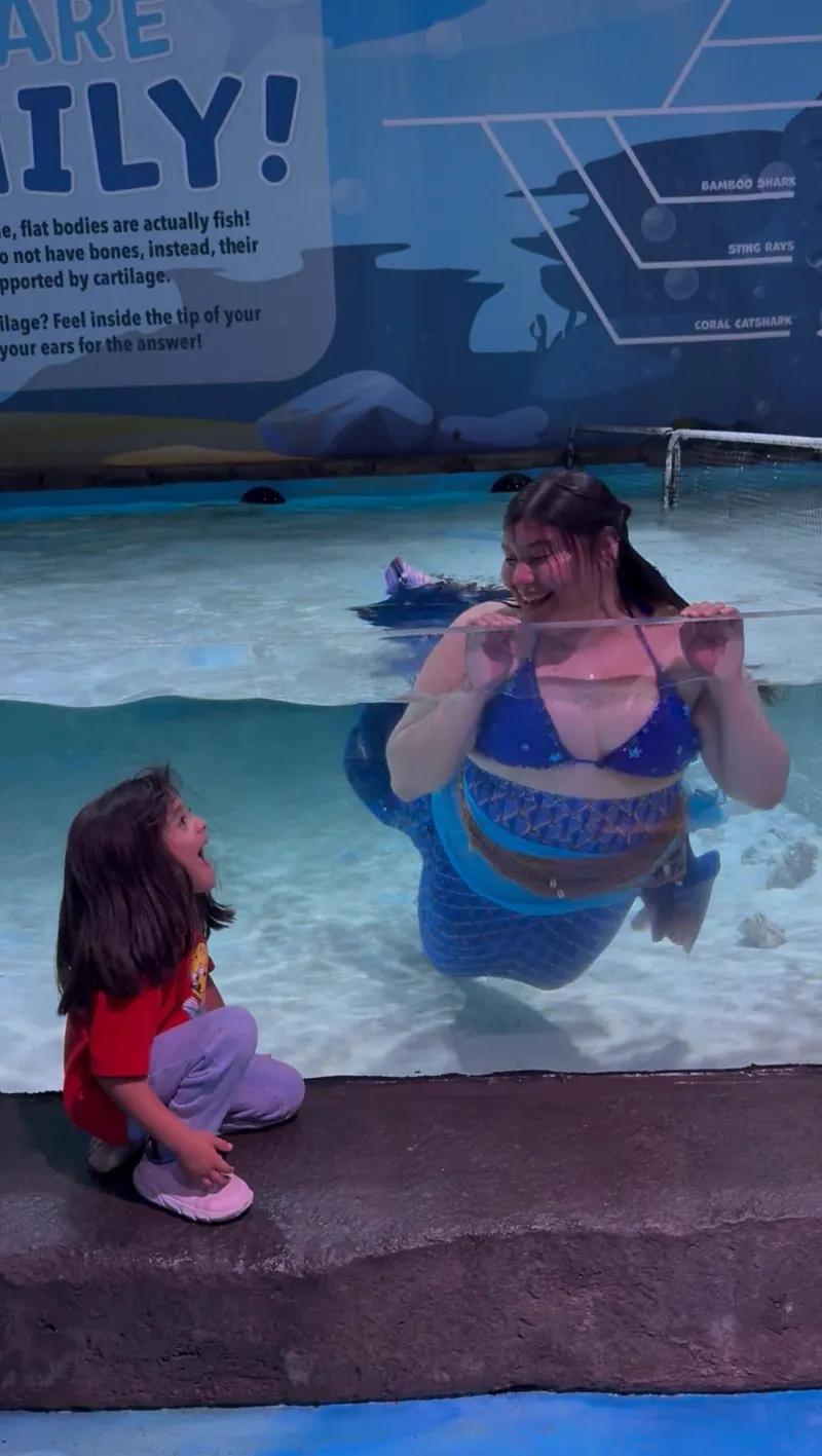 Rogers Gets a Little More Magical With the Return of Wish Upon A Starfish
