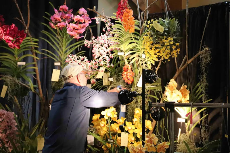 Orchids Are Running the Show and the Orchid Society of the Ozarks Is Behind It