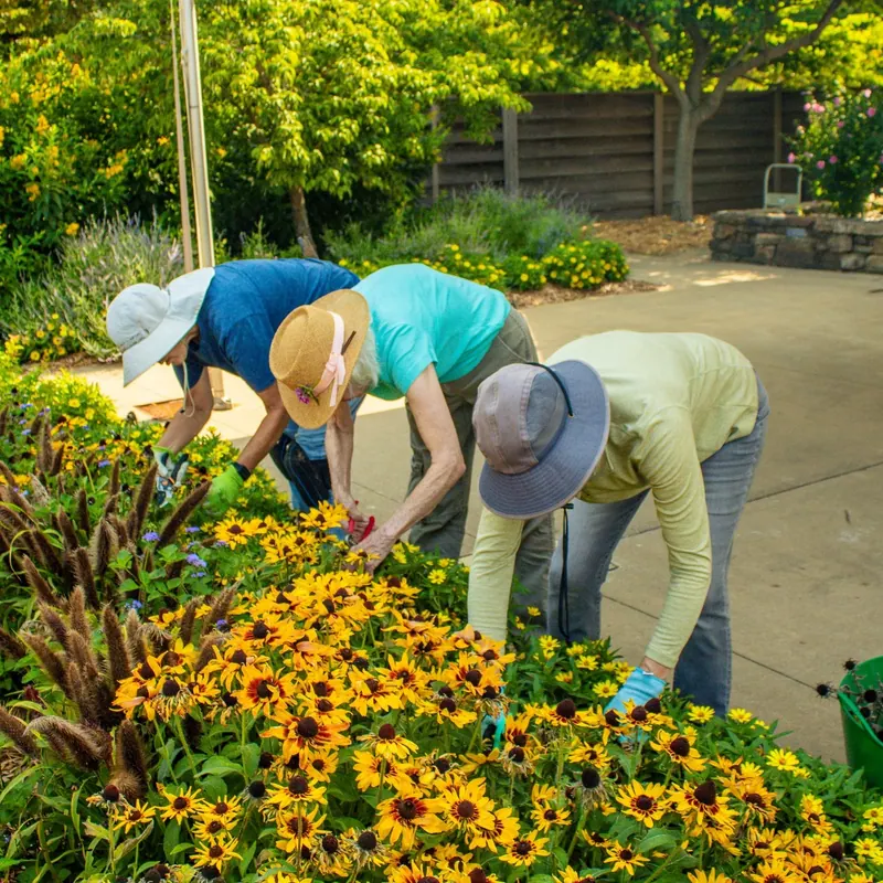 Learn to Garden from the Experts at Arkansas Gardening School