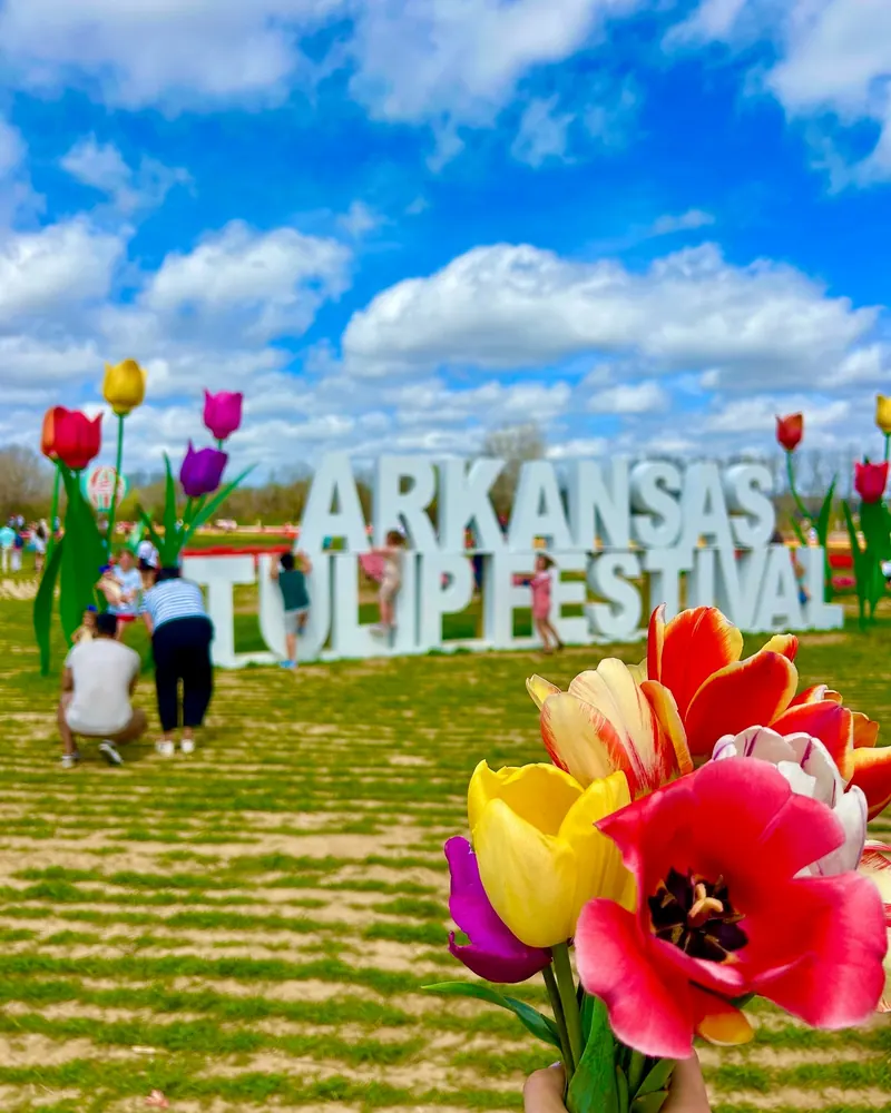 700,000 Tulips Are Blooming at Rivercrest Orchard This Spring