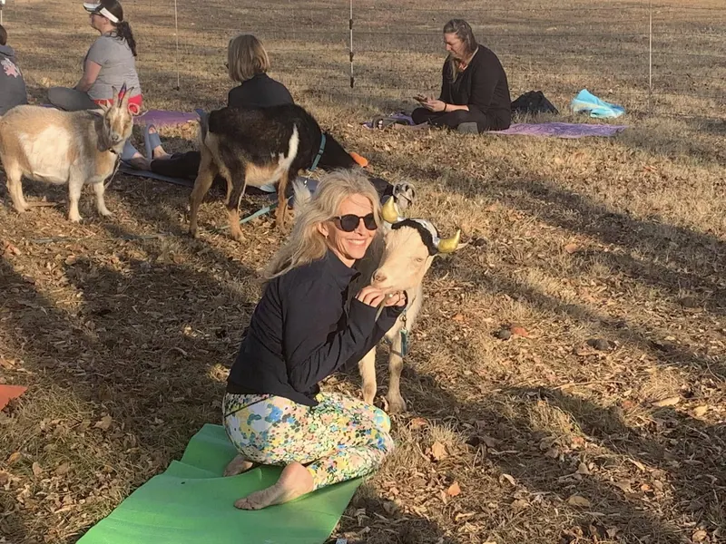 Luther George Park Is Getting a Goat Yoga Class and It Is Free