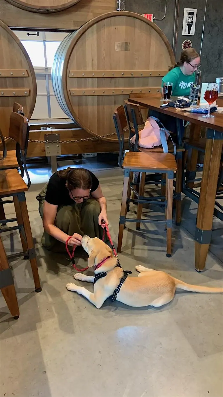 Teach Your Dog to Focus at a Fayetteville Sippin’ Session