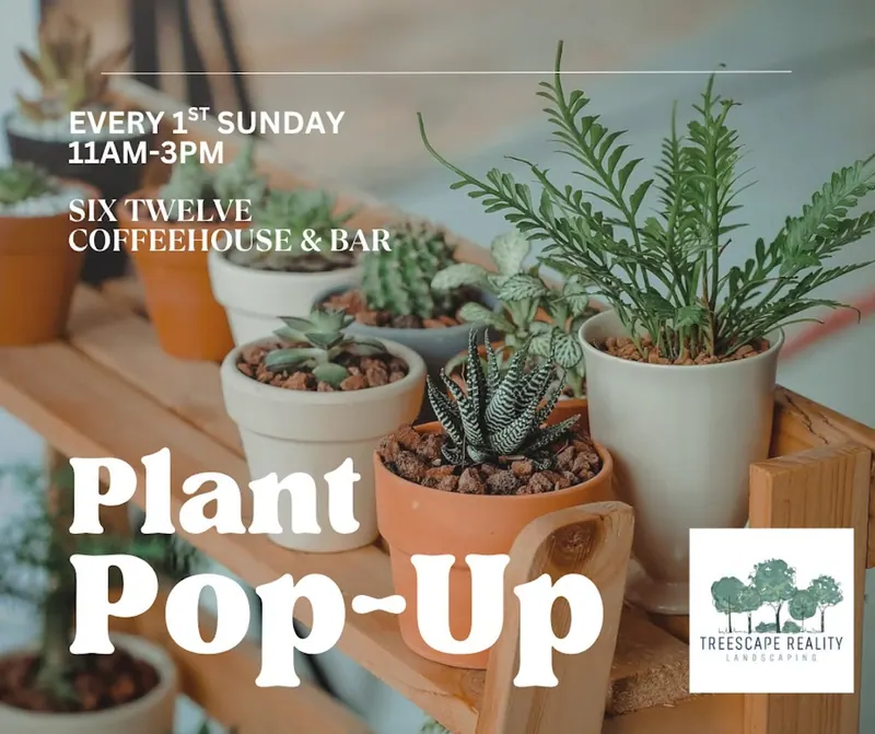 Six Twelve Coffeehouse & Bar Welcomes Back The Plant Pop-Up