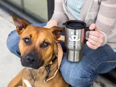 Leashes and Lattes Turns Your Coffee Run Into a Dog Meetup