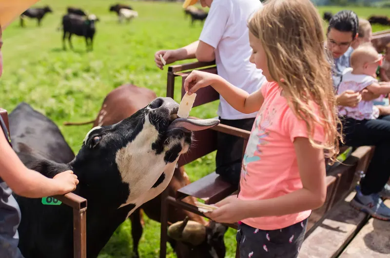 Fall Fun Is Back To Farmland Adventures Springdale