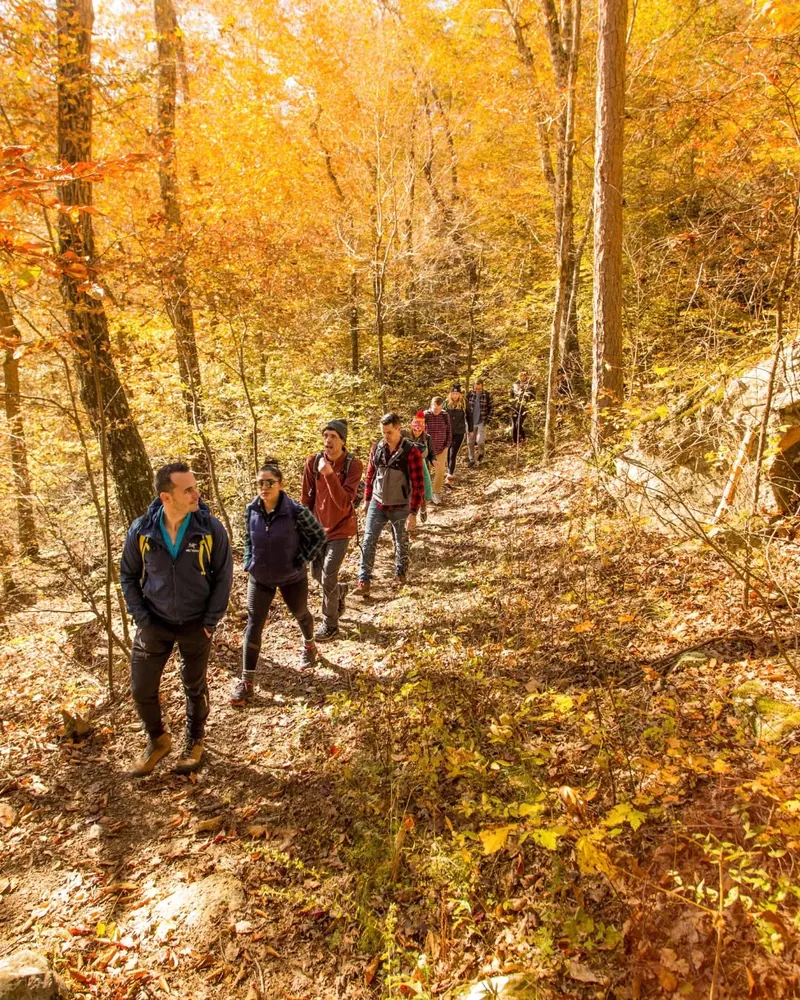 Fall Foliage Train Ride and Hike Takes You Through Winslow Tunnel to Yellow Rock Overlook