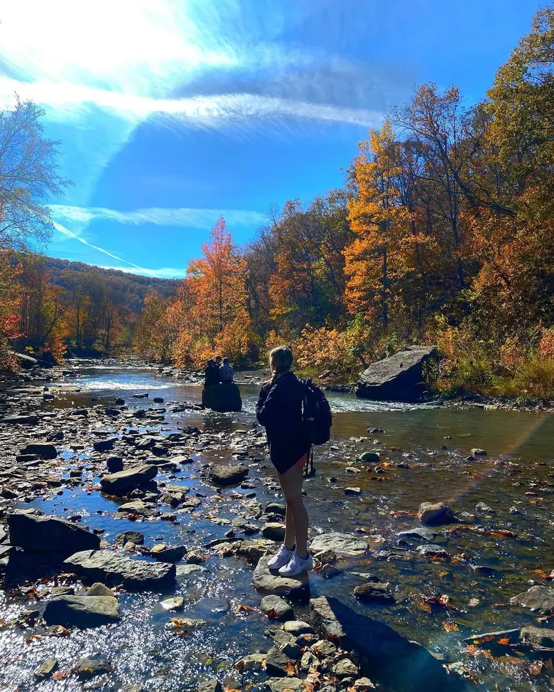 Best Places to See Fall Leaves In and Around NWA This 2026