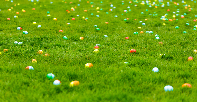 Easter Egg Hunt Sams Club
