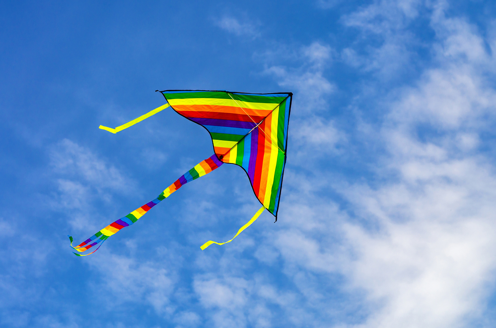 32nd Annual Kite Fest at Turpentine Creek