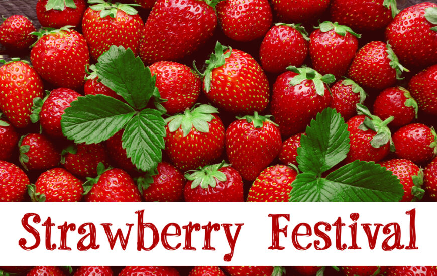 Fayetteville Strawberry Festival